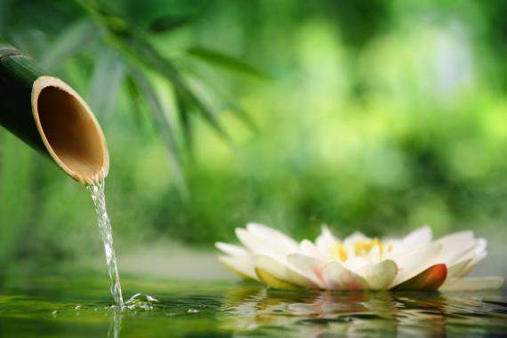 Massage Cocoon N' Flow Périgueux (8)
